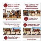 The Horse Shelter Marketing